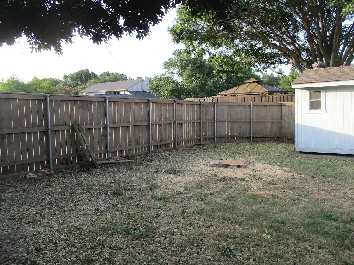 Cleared yard after professional tree removal in South Jordan