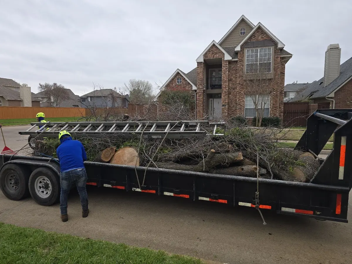 Expert Crown Reduction with proper safety equipment in South Jordan